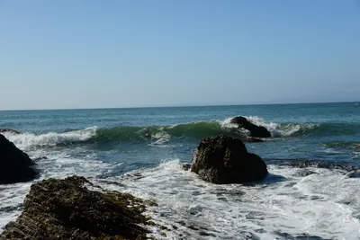 DSC_2656 (Large).JPG